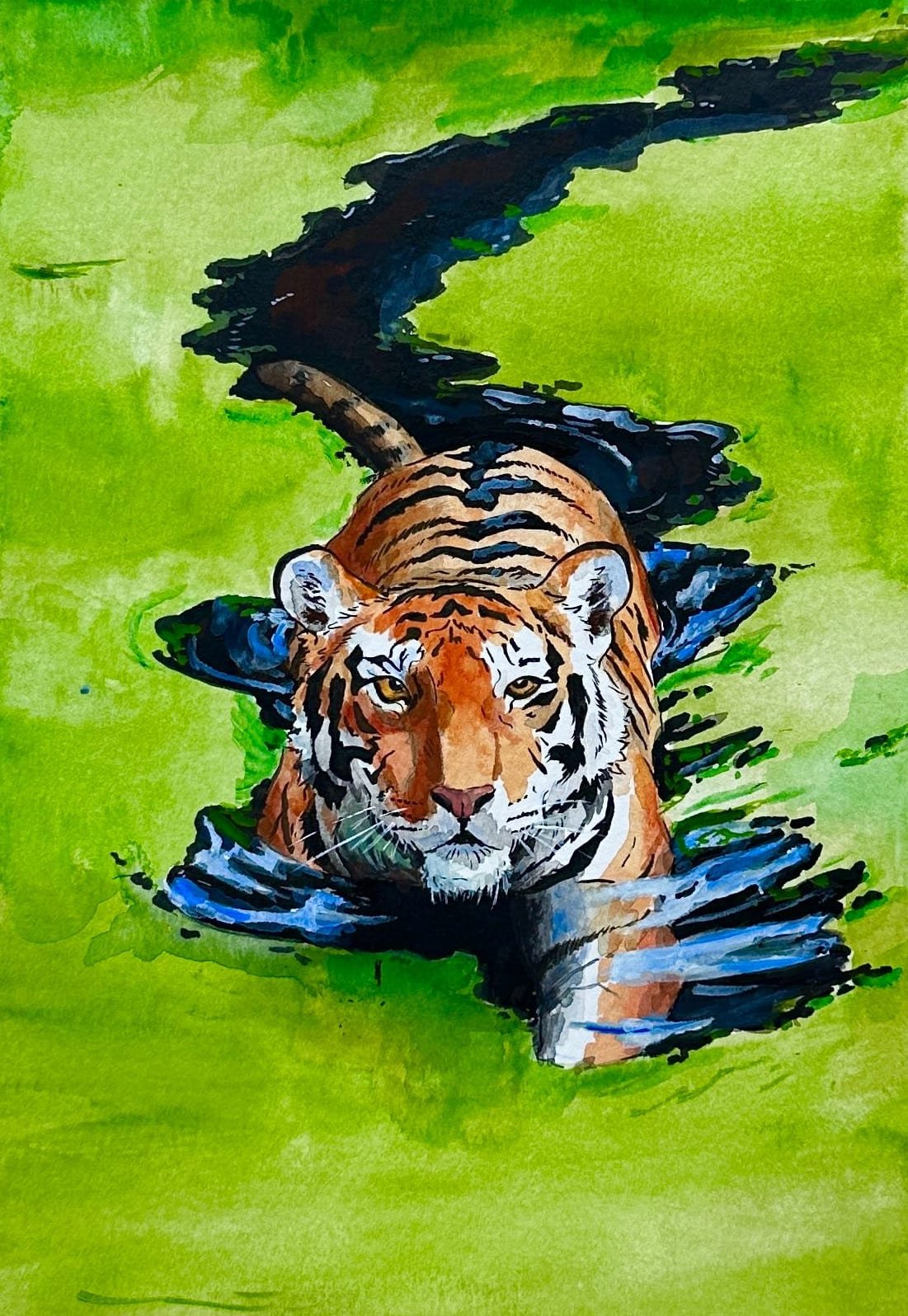 Tiger in Green Water — Gouache